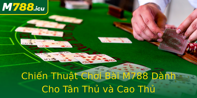 Chiến Thuật Chơi Bài M788 Dành Cho Tân Thủ và Cao Thủ Chiến Thuật Chơi Bài M788 Dành Cho Tân Thủ và Cao Thủ