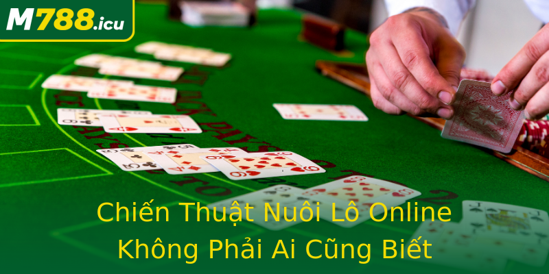 Chiến Thuật Nuôi Lô Online Không Phải Ai Cũng Biết Chiến Thuật Nuôi Lô Online Không Phải Ai Cũng Biết