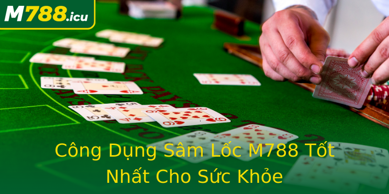 Công Dụng Sâm Lốc M788 Tốt Nhất Cho Sức Khỏe Công Dụng Sâm Lốc M788 Tốt Nhất Cho Sức Khỏe