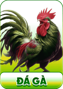 M788 - Khám Phá Nhà Cái Đỉnh Cao Dành Cho Game Thủ Thật Sự 7 Da Ga M788