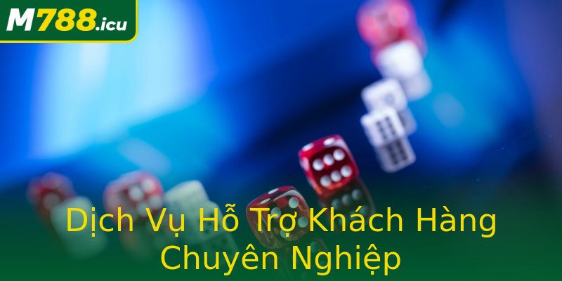 Dịch Vụ Hỗ Trợ Khách Hàng Chuyên Nghiệp Dịch Vụ Hỗ Trợ Khách Hàng Chuyên Nghiệp