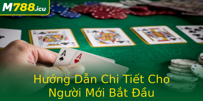 Hướng Dẫn Chi Tiết Cho Người Mới Bắt Đầu Hướng Dẫn Chi Tiết Cho Người Mới Bắt Đầu