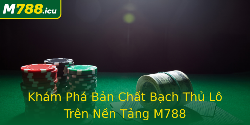 Khám Phá Bản Chất Bạch Thủ Lô Trên Nền Tảng M788 Khám Phá Bản Chất Bạch Thủ Lô Trên Nền Tảng M788