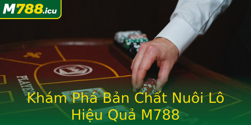 Khám Phá Bản Chất Nuôi Lô Hiệu Quả M788 Khám Phá Bản Chất Nuôi Lô Hiệu Quả M788