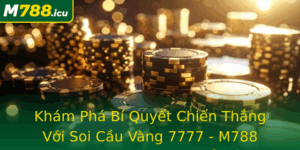 Kham Pha Bi Quyet Chien Thang Voi Soi Cau Vang 7777 M788 Inh Cao Du Oan Xo So