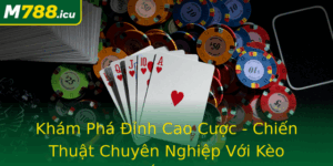 Kham Pha Inh Cao Cuoc Chien Thuat Chuyen Nghiep Voi Keo Chau A Tu M788