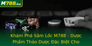 Kham Pha Sam Loc M788 Duoc Pham Thao Duoc Ac Biet Cho Suc Khoe Toan Dien 1