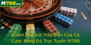 Kham Pha Suc Hap Dan Cua Ca Cuoc Bong A Truc Tuyen M788