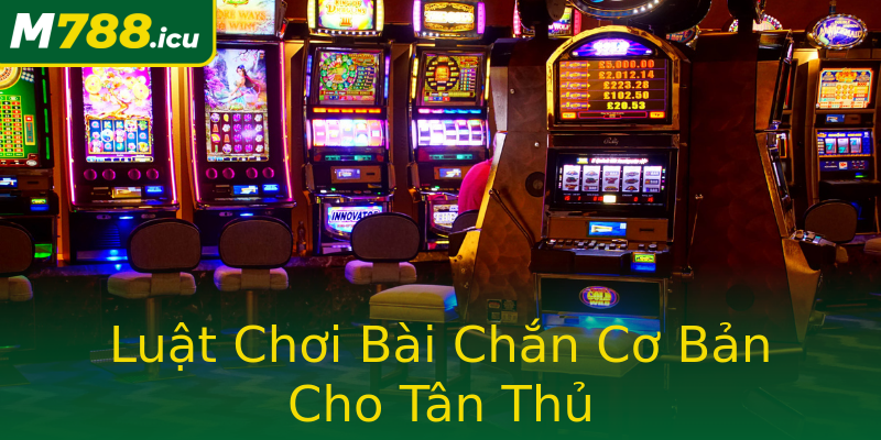 Luật Chơi Bài Chắn Cơ Bản Cho Tân Thủ Luật Chơi Bài Chắn Cơ Bản Cho Tân Thủ