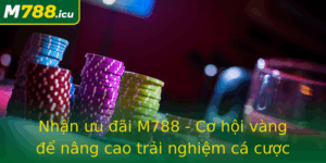 Nhan Uu Ai M788 Co Hoi Vang E Nang Cao Trai Nghiem Ca Cuoc Cua Ban Trong Nam 2025