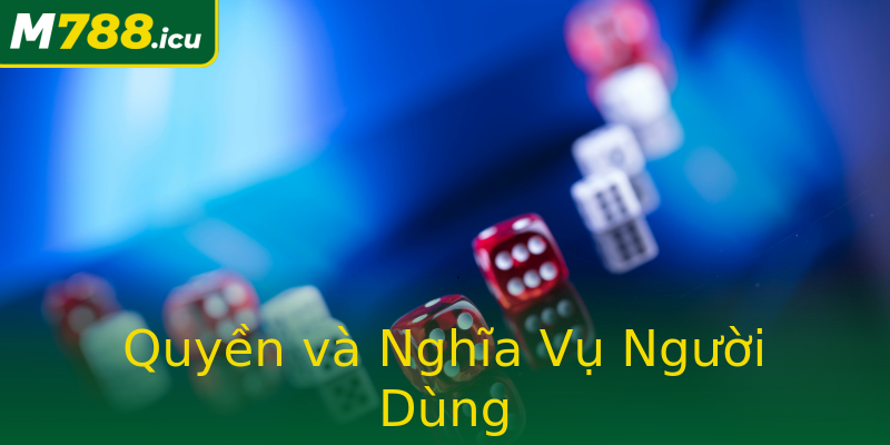 Quyền và Nghĩa Vụ Người Dùng Quyền và Nghĩa Vụ Người Dùng